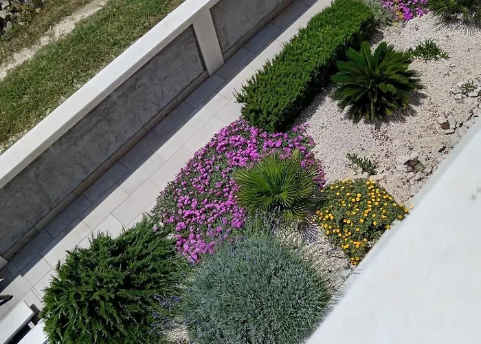 Sol Vlasici Apartmán