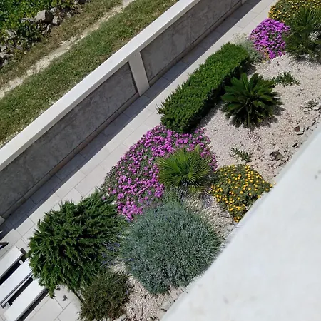 Sol Vlasici Appartement